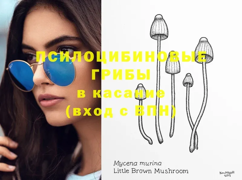 Галлюциногенные грибы Magic Shrooms  нарко площадка официальный сайт  Камышин  купить закладку 